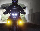 DENALI DL4 LED DataDim