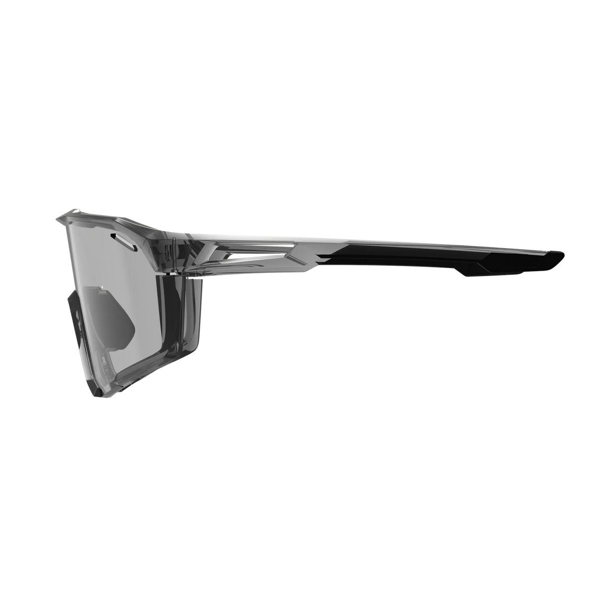 Gafas SpeedViz Pro
